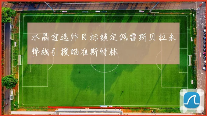 水晶宫选帅目标锁定佩雷斯贝拉米锋线引援瞄准斯特林