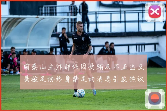 前泰山主帅郝伟因受贿及不正当交易被足协终身禁足的消息引发热议