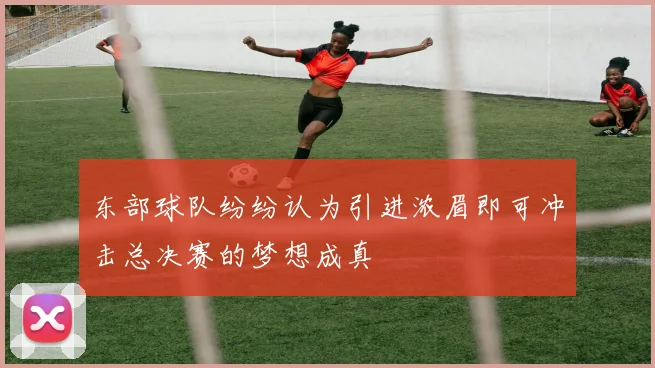 东部球队纷纷认为引进浓眉即可冲击总决赛的梦想成真