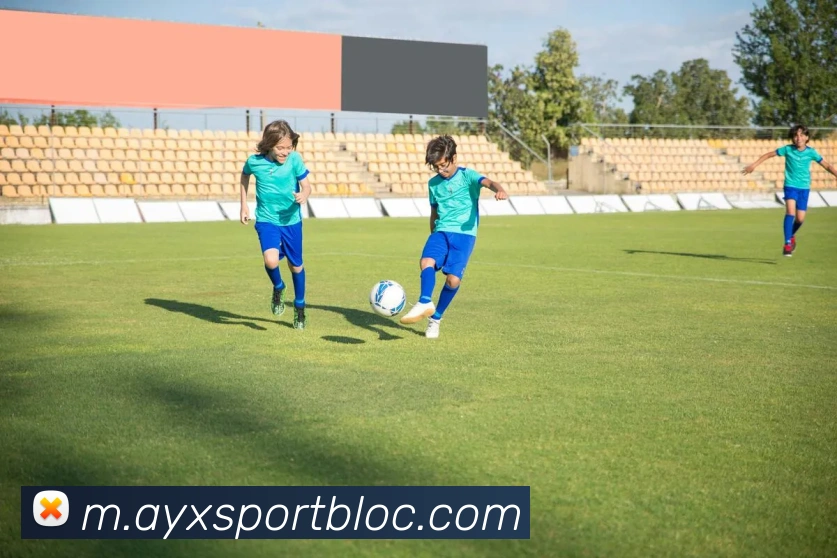 爱游戏体育品牌故事